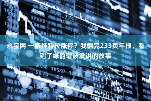 永宝网 一条推特拉涨停？我翻完233页年报，看到了绿的谐波没讲的故事