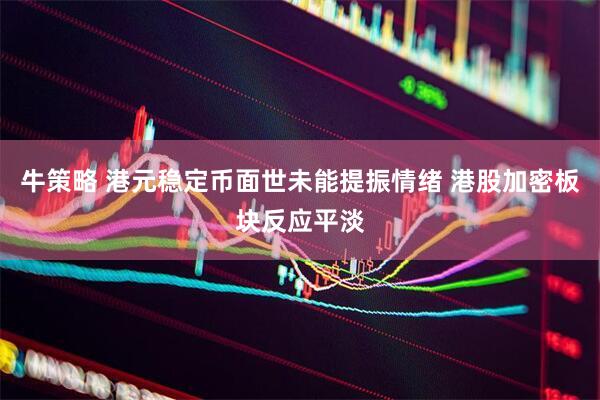 牛策略 港元稳定币面世未能提振情绪 港股加密板块反应平淡